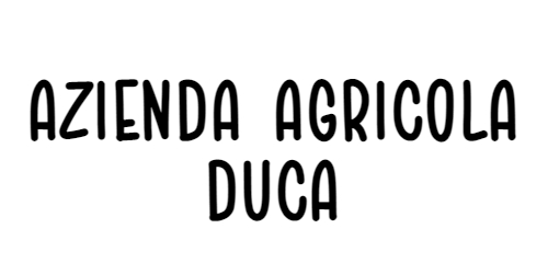 Logo Spazio Domus